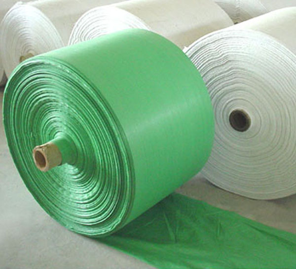 PP Woven Fabric in Roll